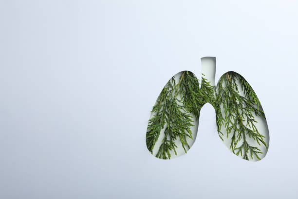 istock Concept of World lung day, lung problems and treatment 1500900555