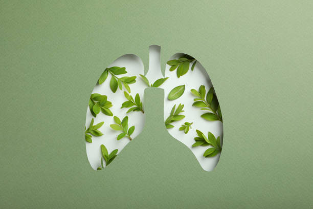 istock Concept of World lung day, lung problems and treatment 1500900713