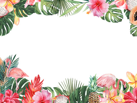 Bright juicy illustration on the theme of tropical plants and beach holidays. Rectangular frame. Watercolor drawing by hand on a white background.