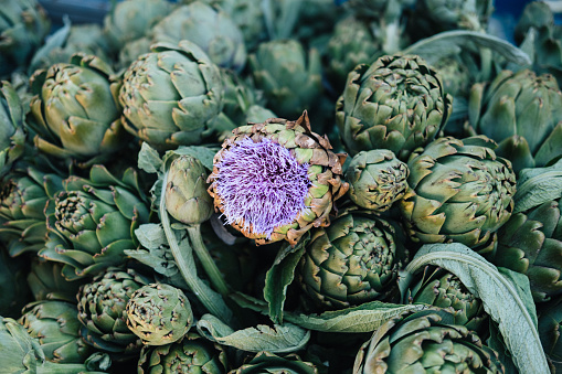 Fresh ripe red purple organic globe artichokes displayed for sale at a street food market, side view of healthy vegan food photogrpahed with soft focus