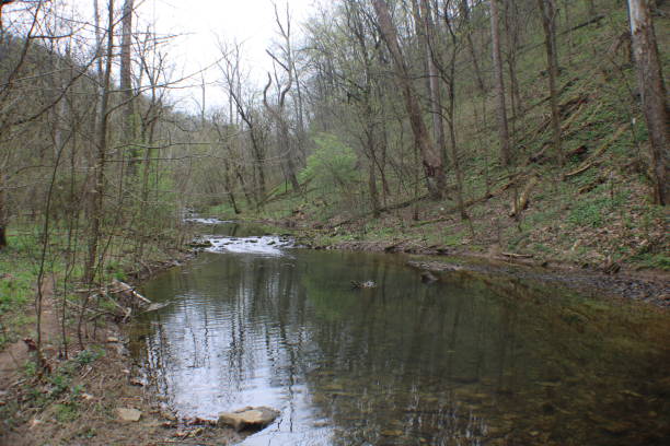 istock Early spring at the creek 1500901711
