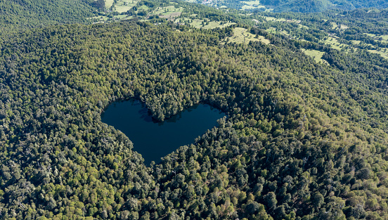 Heart lagoon, Laguna Corazon, Chile. Drone top down view go lagoon with the shape of a heart surrounded by forest, near Liquine, Region Los Lagos Chile.