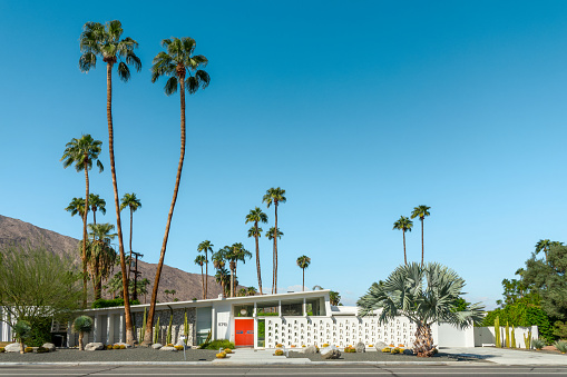 Modern mid-century house architecture and palm trees in Palm Springs, California