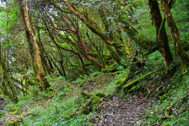 istock Annapurna Circuit Trek in Pokhara, Nepal 1500904173