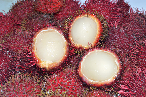 japanese chesnut fruit in basket at kyoto japan