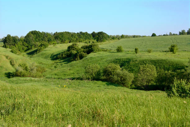 istock green valley with grassy hills and blue sky on horizon, copy space 1500905576