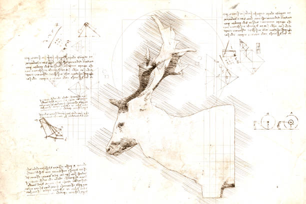 istock Sketch in da Vinci style of white male  deer 1500906544