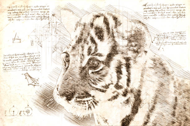 istock Head of young Thai tiger illustration  sketch in da Vinci 1500906639