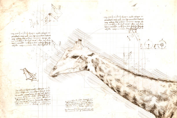 istock Head of giraffe sketch in da Vinci style 1500906645