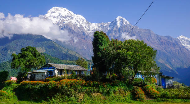istock Teahouse on Annapurna Circuit Trek 1500909106