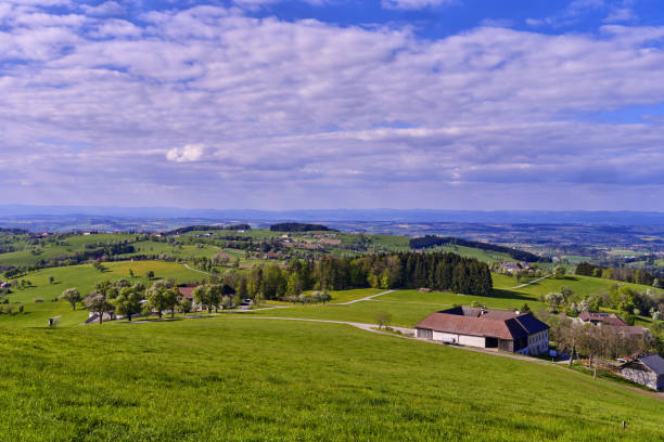 istock Tree blossom in the Mostviertel, Lower Austria 1500909547