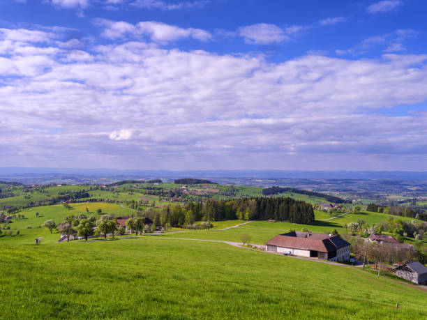 istock Tree blossom in the Mostviertel, Lower Austria 1500909571