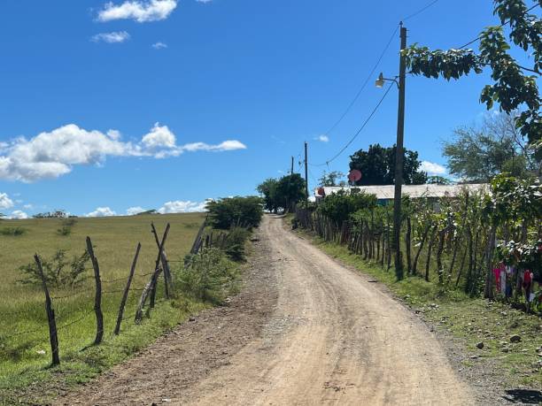 istock Country road on sunny day 1500914086