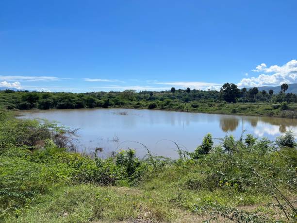 istock Dirty water lake 1500914502
