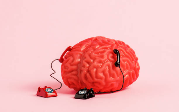 istock Human brain model with two retro phones on pink background. Multitasking and brain work concept. 1500917078