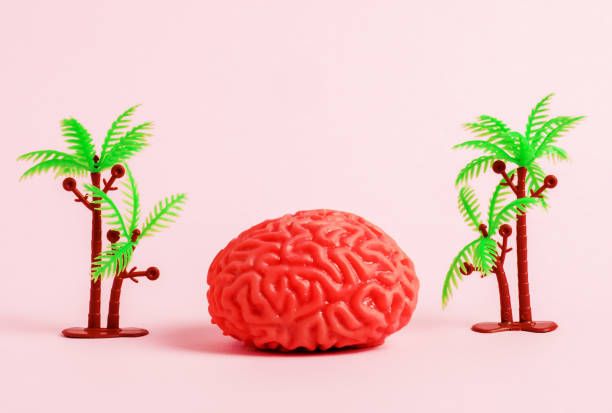 istock Human brain model between plastic palm trees on pink background. Brain relax concept. 1500917083