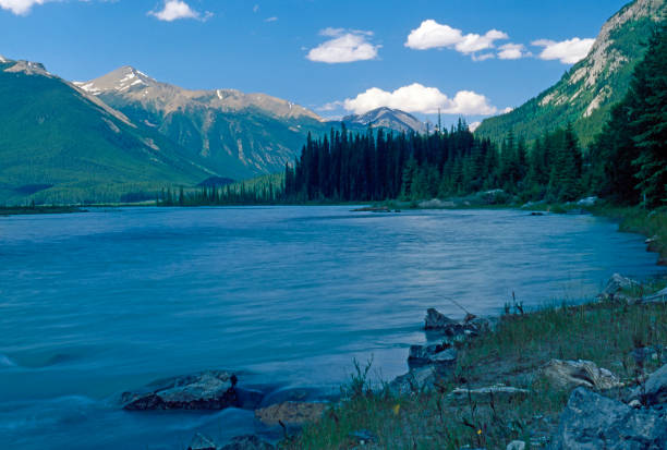 istock Mistaya River, Icefield Parkway, Alberta, Canada 1500917466