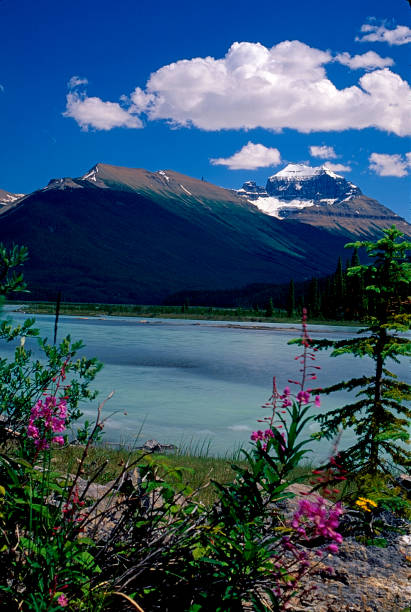 istock Mistaya Lake, Icefield Parkway, Alberta, Canada 1500917490