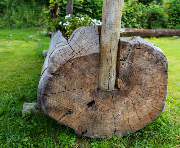 Shed of a rustic house. It is made of wood and has two wagon wheels.
