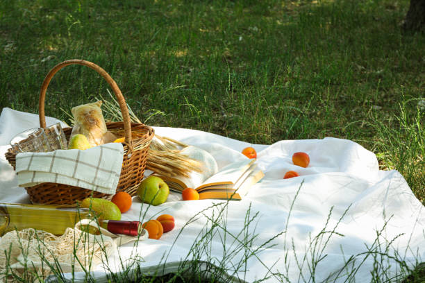istock Spending time in nature - picnic, accessories for picnic 1500924413