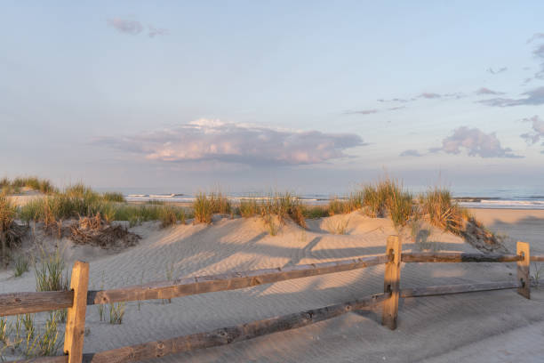 istock An Evening Walk on the Beach 1500929851