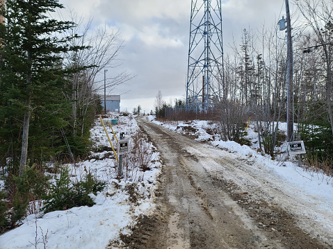 A old muddy dirt road with a dusting of snow going through a forest area.