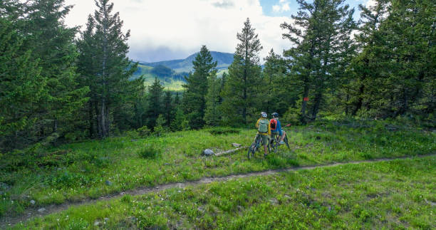 istock Senior couple ride mountain bikes onto grassy alpine ridge 1500936744