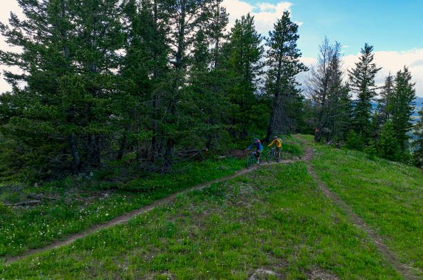 istock Senior couple ride mountain bikes onto grassy alpine ridge 1500936794