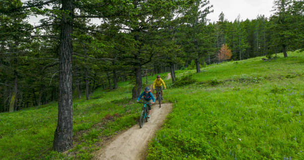 istock Senior couple ride mountain bikes along grassy path 1500936809