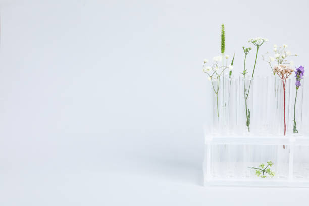 istock Concept of biology research, space for text 1500937545