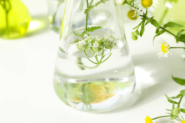 istock Composition for Making cosmetic concept, making cosmetic with flowers 1500938555