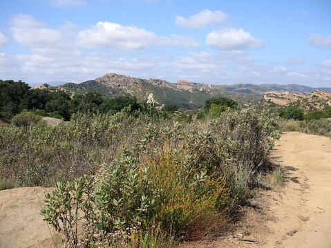 Rocky landscape with blue sky and scatterd clouds, and yerba santa plants in the foreground