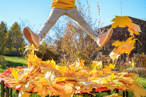 Girl kid jumping on trampoline with autumn leaves. Bright yellow orange maple foliage. Child walking, having fun, playing in fall backyard. Outdoor funny happy season family activity in autumn park.
