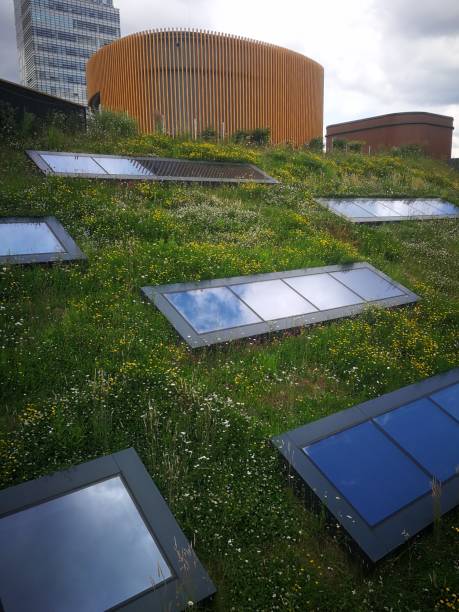 istock Green roof with skylights 1500941873