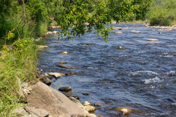 istock the river dukcha in magadan region 1500942133