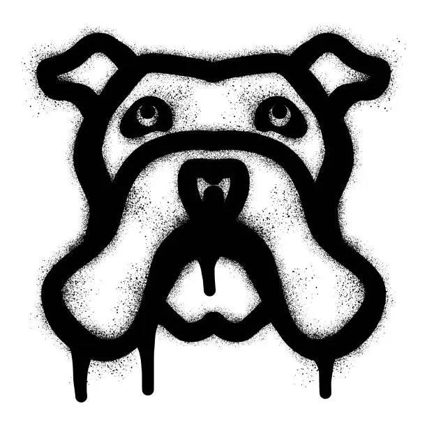 Vector illustration of Bulldog head icon graffiti with black spray paint