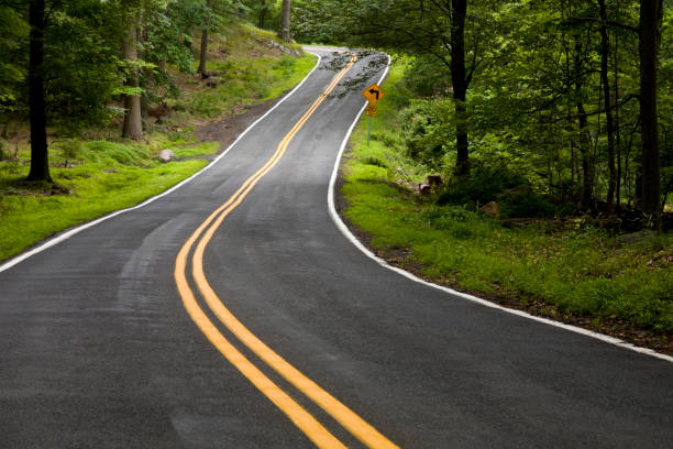 istock Winding country road through a thriving forest 1500944684