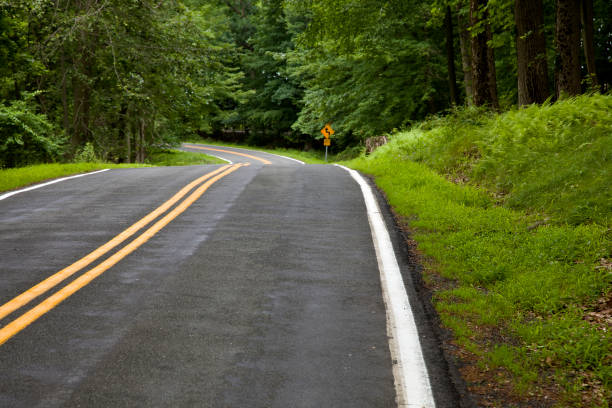 istock Winding country road through a lush forest 1500944771
