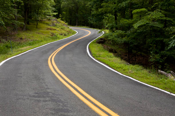 istock Winding country road through the forest 1500944802