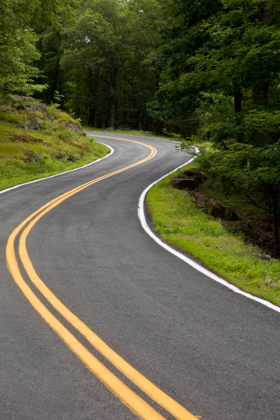 istock Winding country road through the fertile forest 1500944809