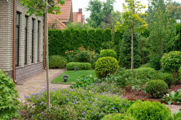 istock Front garden before dacha in Belgian village in Moscow oblast 1500945762