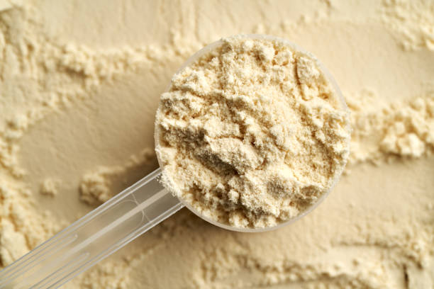 istock Whey protein powder in a plastic measuring spoon, top view 1500947648