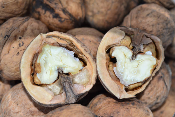 istock a broken walnut rests on top of other walnuts 1500949658