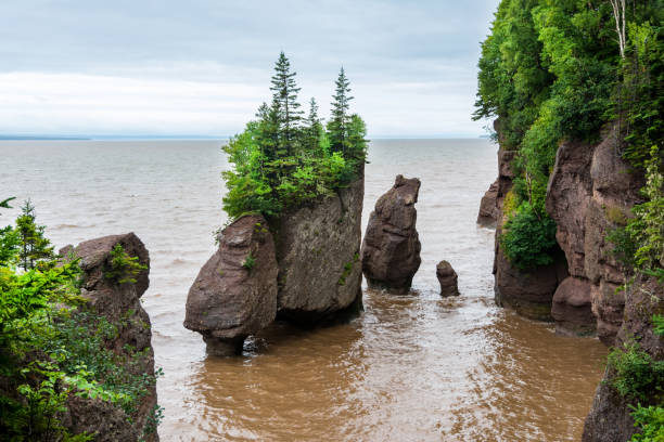 istock Bay of Fundy 1500955759