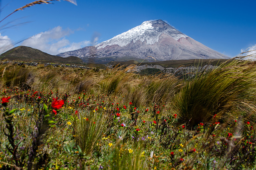 The Cotopaxi is the third highest active volcano in the world. It raises 19388 feet (5911 m) above the sea level and is located in Ecuador near Quito. Its peak is a popular destination for climbers.