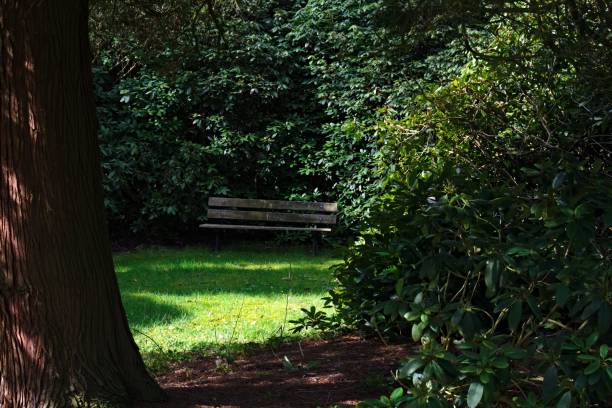 istock View of an empty bench in between grass, bushes and trees 1500960291