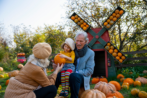 Grandchild with her Grandparents in a Pumpkin patch with windmill in the background. Granddaughter , grandfather and grandmother playing in autumn farm. Copy space