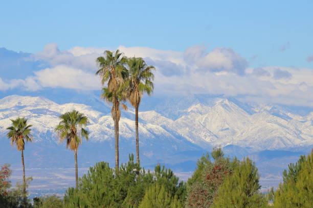 istock Palm Trees and Snow Covered Mountains 1500974836