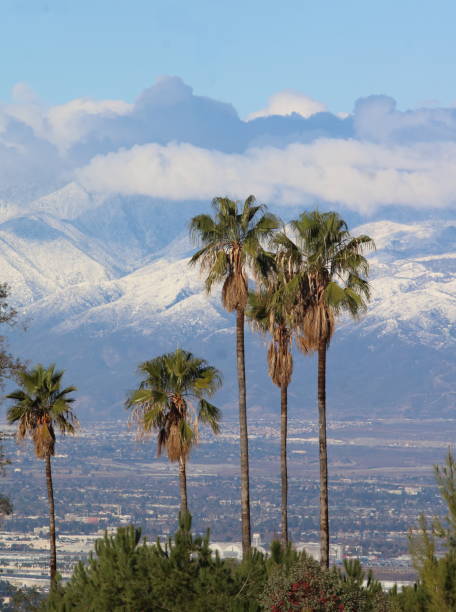istock Snow-covered Mountains and Palm Trees 1500974865