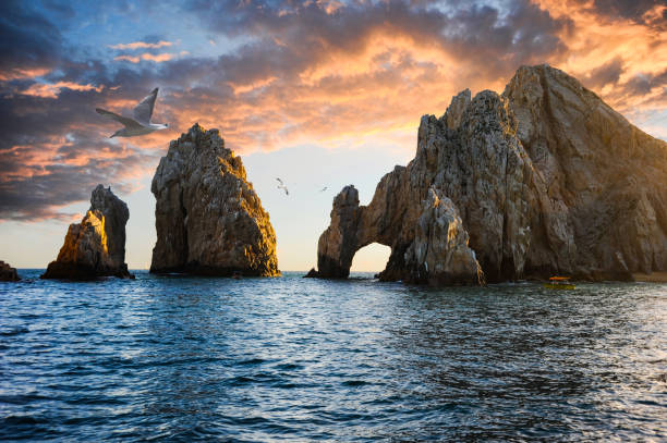 istock Seagulls soaring above Cabo San Lucas' characteristic arch, a rock structure near the peninsula's southernmost point in Cabo San Lucas, Mexico's Baja California. 1500988315
